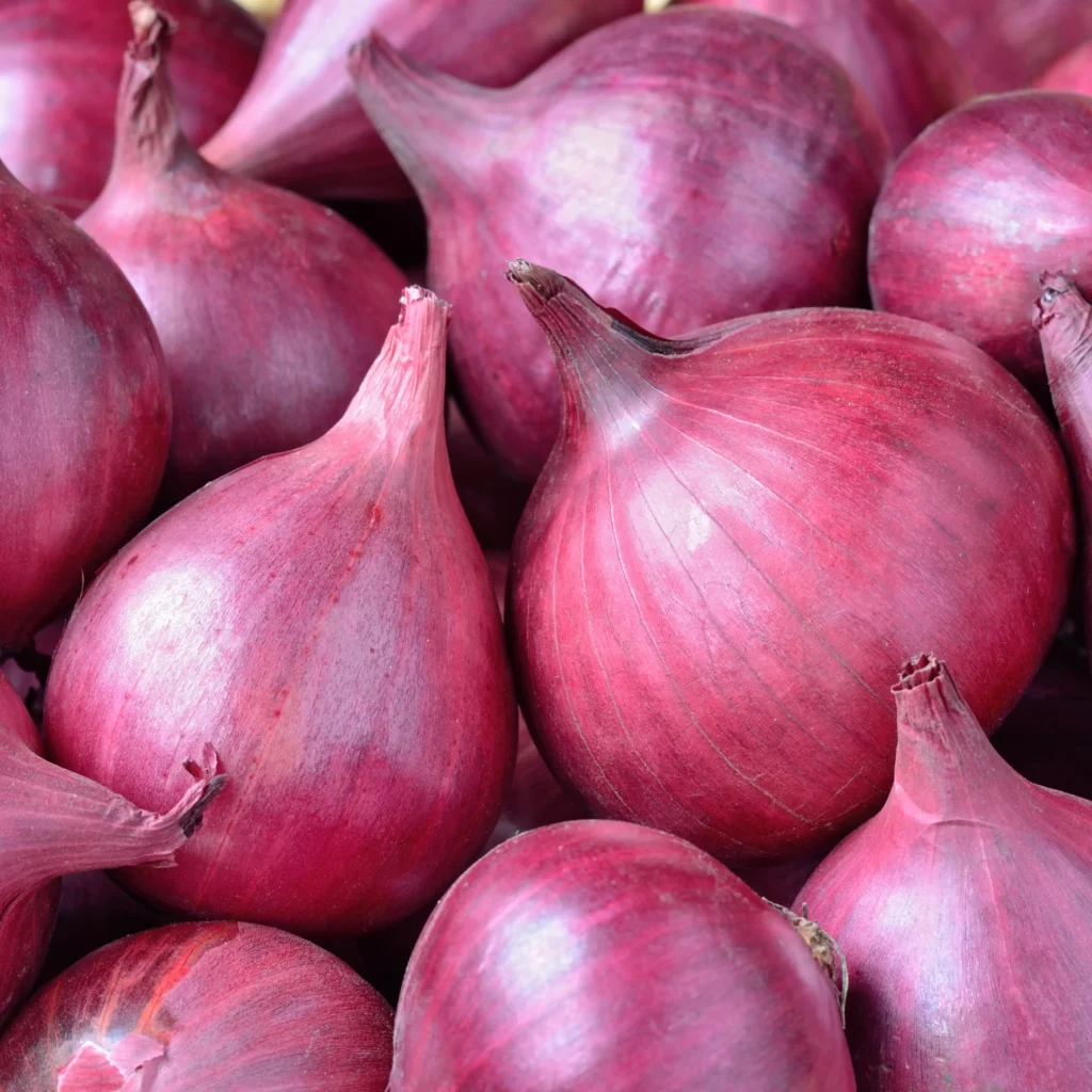Red Onion