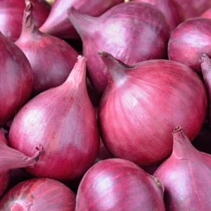 Red Onion