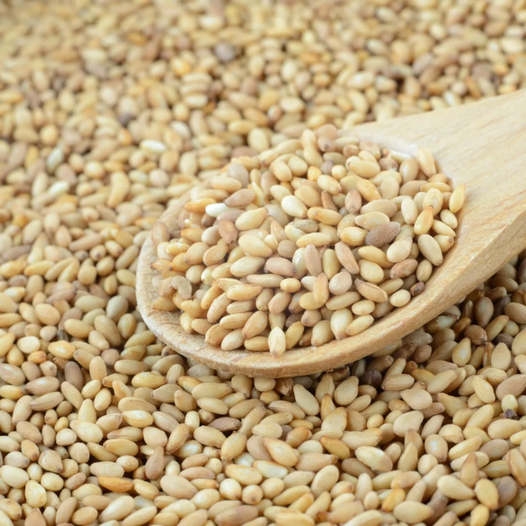 Sesame Seeds