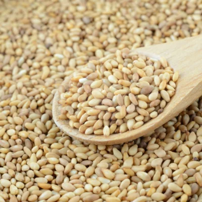 Sesame Seeds