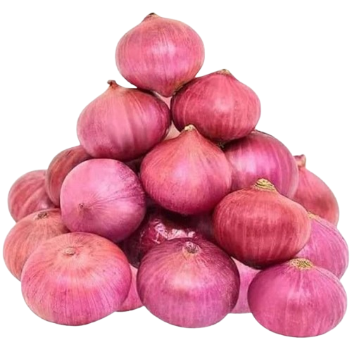Onion