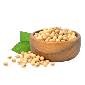 Soyabean Seeds