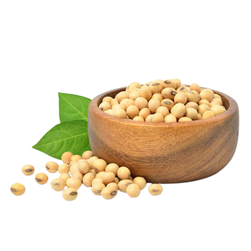 Soyabean Seeds
