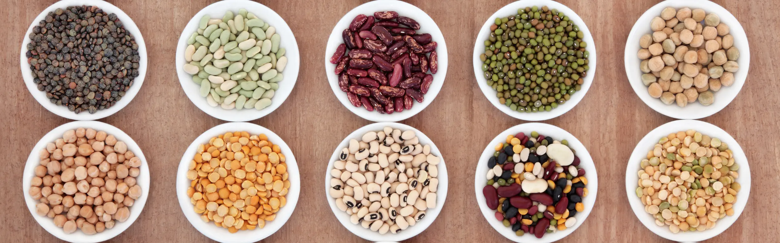 Pulses Banner